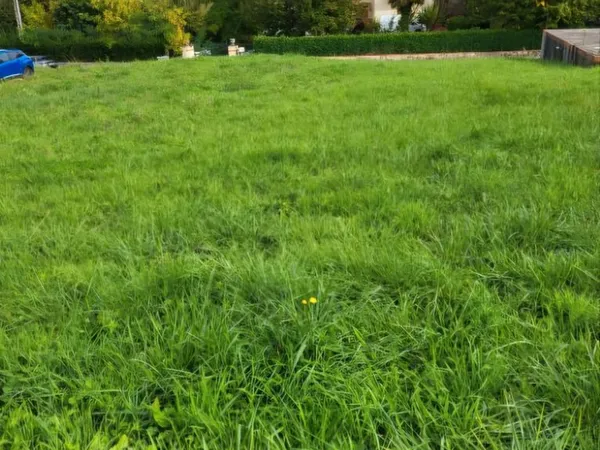 Terrain viabilisé