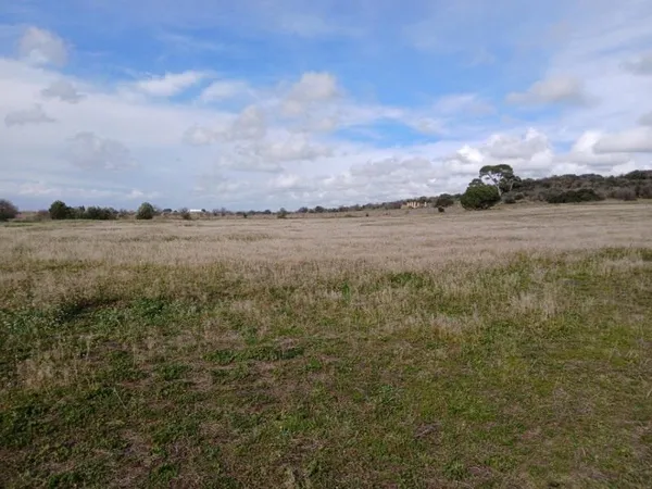 Terrain 259 m²