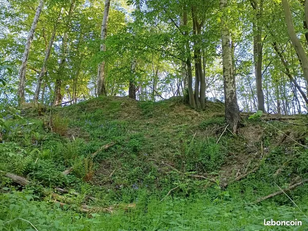 A vendre parcelle forestière