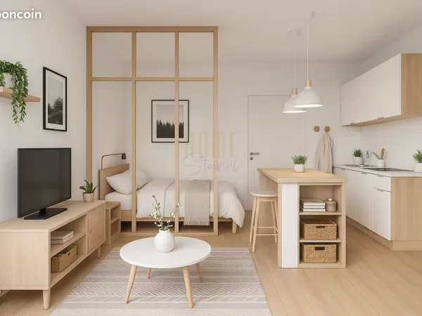 Studio 1 pièce 20 m²