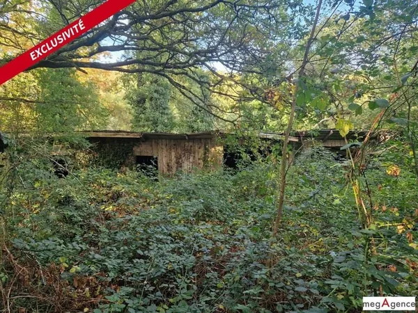 Terrain 56990 m²