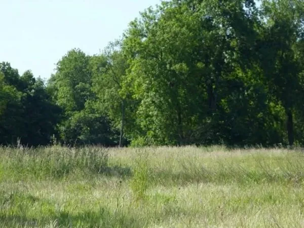 Terrain 310 m²