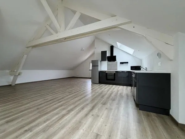Appartement T3 Rénové - 65 m² avec Cave - Thaon-les-Vosge