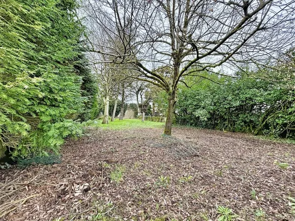 Terrain 269 m²