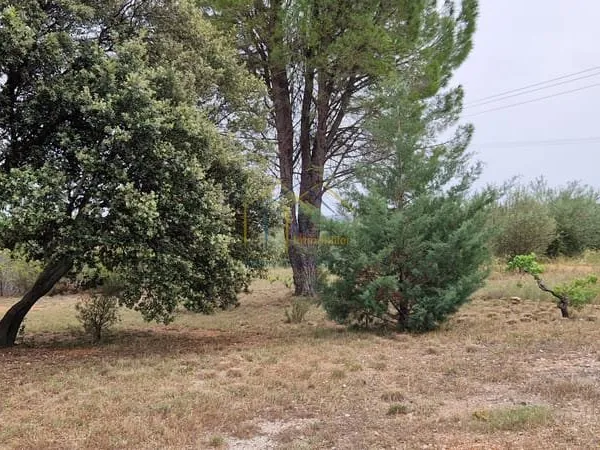Terrain à vendre à Saint-Jean-De-Fos avec CT Immobilier