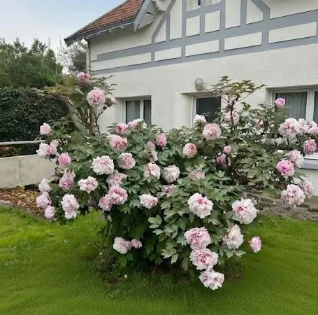 Maison 6 pièces 130 m²