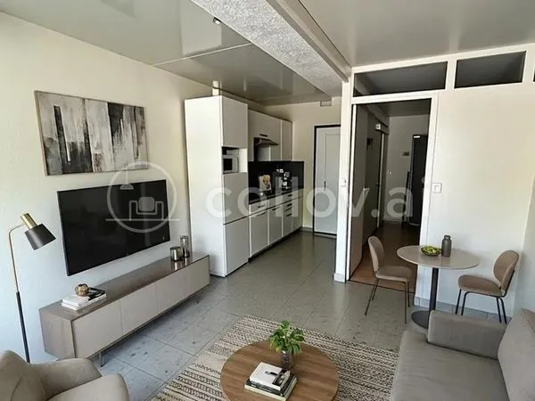 T2 MEUBLÉ 35m² - BARTHELASSE / ILE PIOT