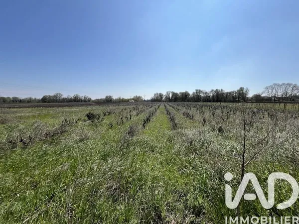 Terrain 8225 m²