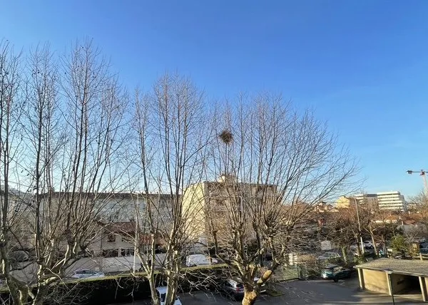Appartement 3 pièces 68 m²