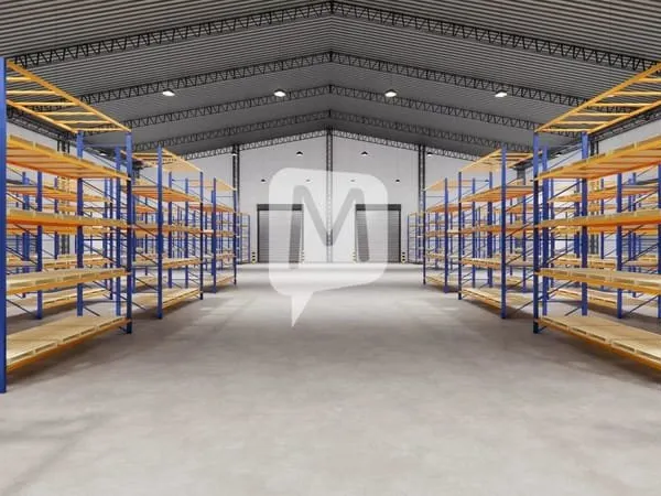 DPT GUYANE, à louer CAYENNE entrepôt de 1 050 m²