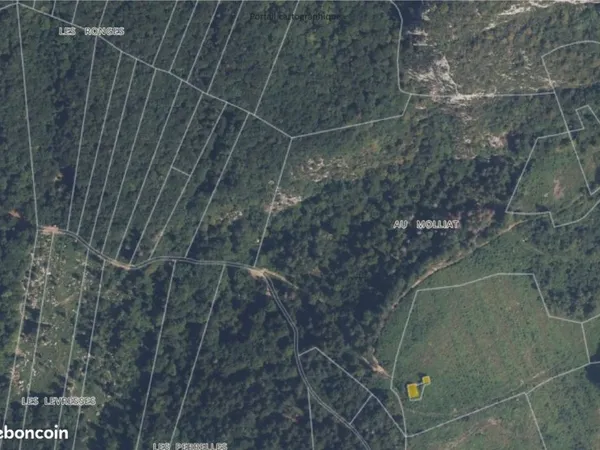 Foret, bois, terrain