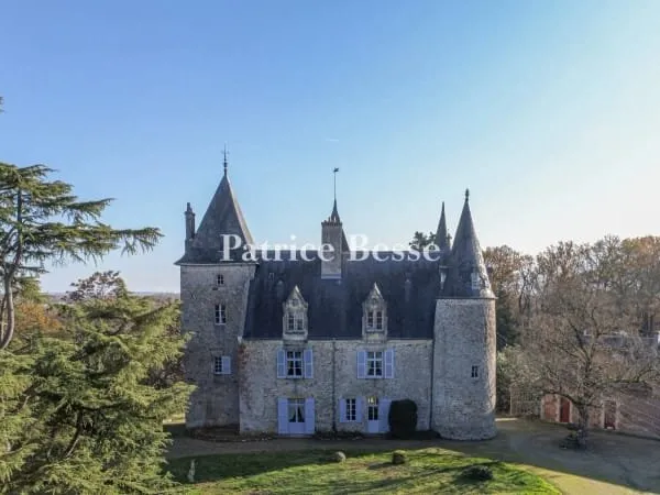 Château 12 pièces 680 m²
