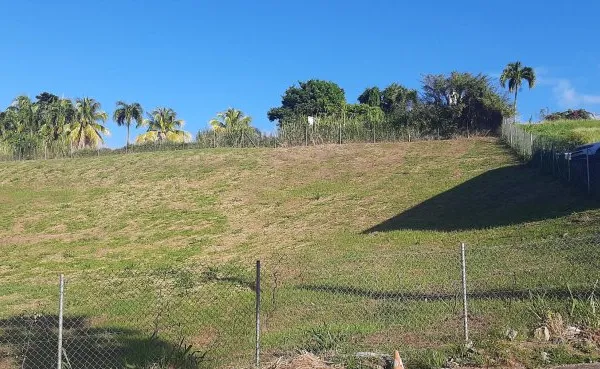 Terrain 1247 m²
