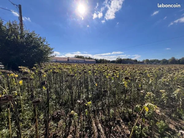 Terrain 1399 m² Juillan