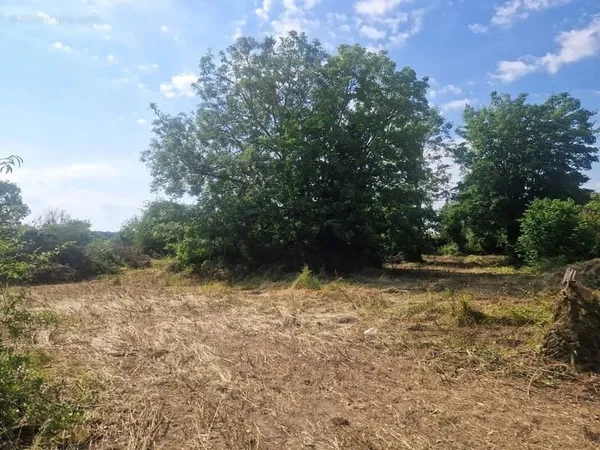 Terrain 3800 m²