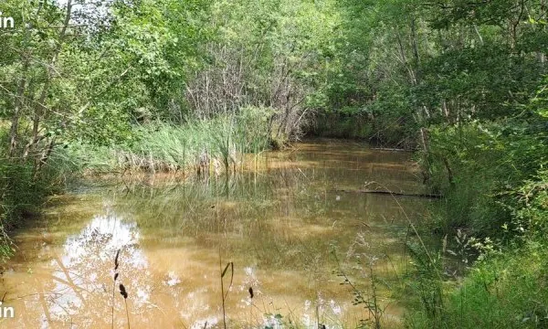 Terrain + etang