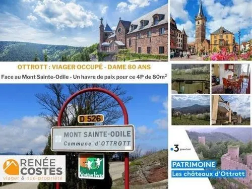 Viager occupé - F79 ans - OTTROTT (67530)