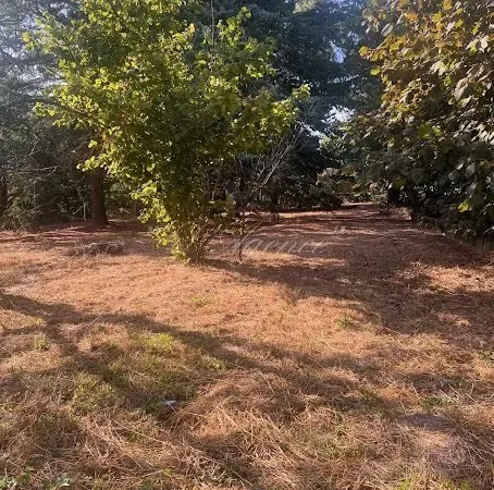 Terrain à bâtir 1178 m²