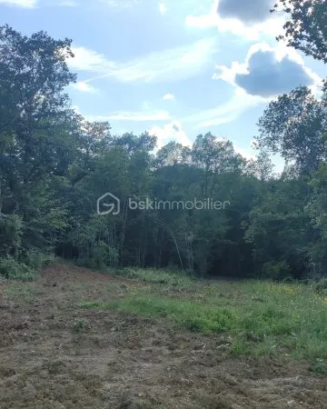 Terrain 14982 m²