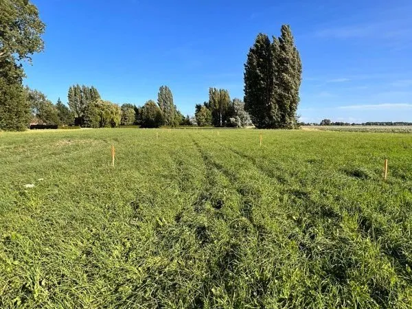 Terrain privé 963m2