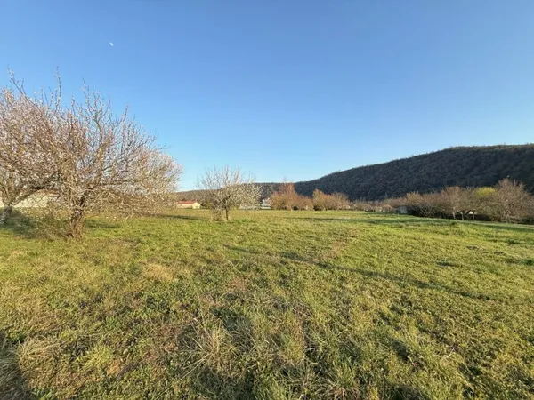 Terrain constructible