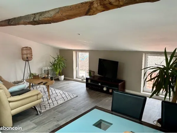 Appartement T2 refait à neuf 520 centre Agen