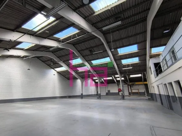 Entrepôt 981 m²