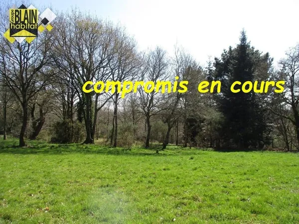 Terrain constructible