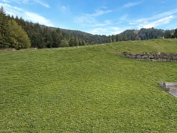 Terrain constructible