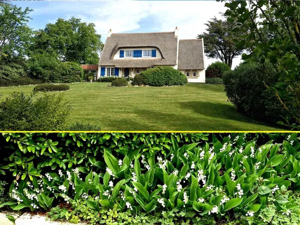 BAISSE de prix pour un 1er Mai fleuri et heureux !!!