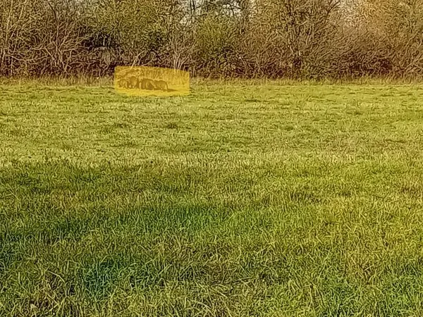 Terrain agricole
