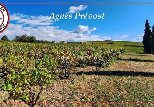 A vendre Domaine Viticole dans le Beaujolais (parts sociétés, propriété+fermages+bâtiments+stocks&ma
