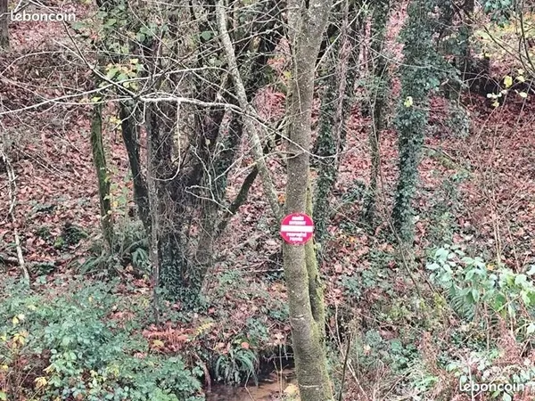 Terre agricole boisé