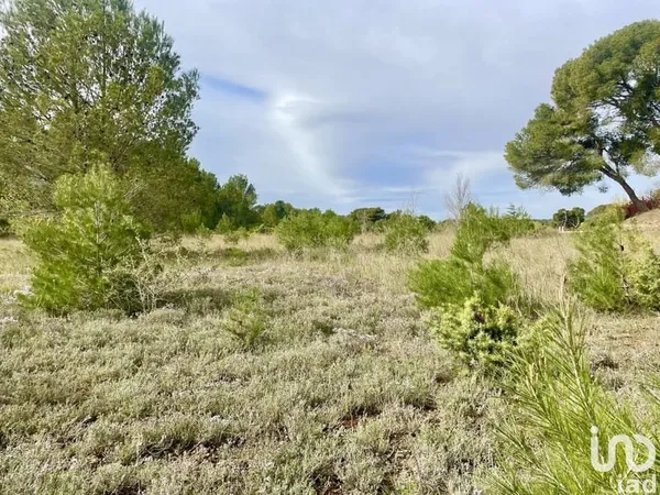 Terrain 375 m²