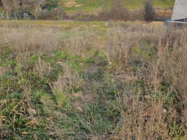 Terrain constructible