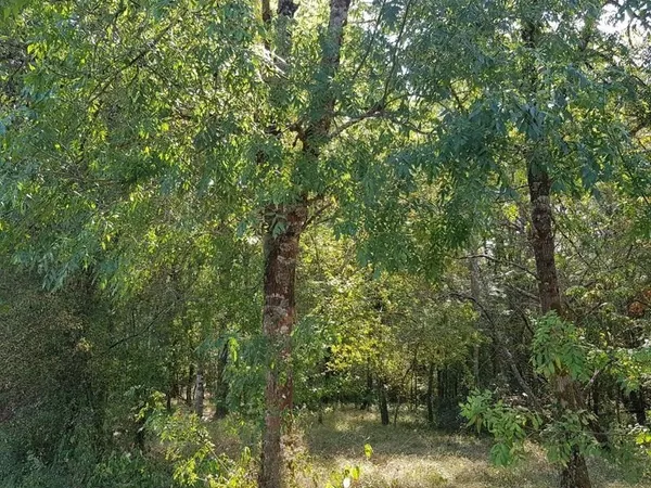 Bois / Terrain d'agrément