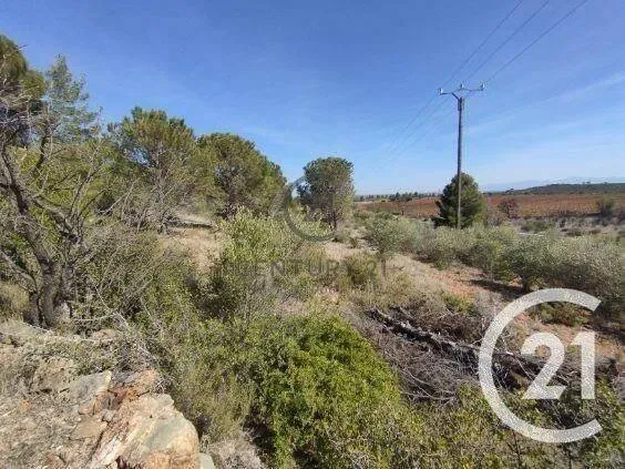 Terrain 7120 m²