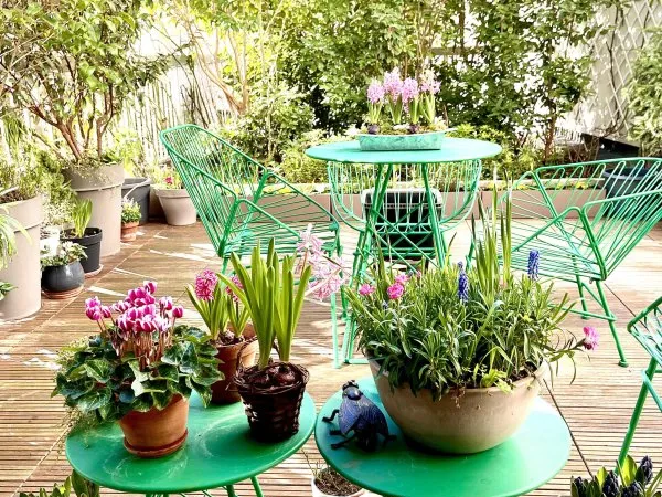 Vends bel appartement calme 5 pièces 110m² pondérés Terrasse : 36m² bien aménagée - Paris 15ème