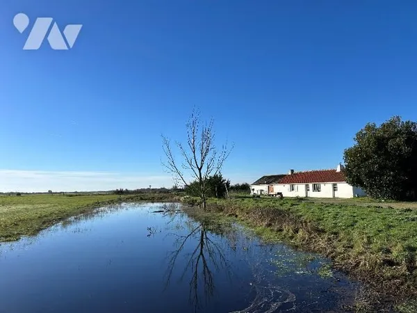 Maison 2 pièces 59 m²