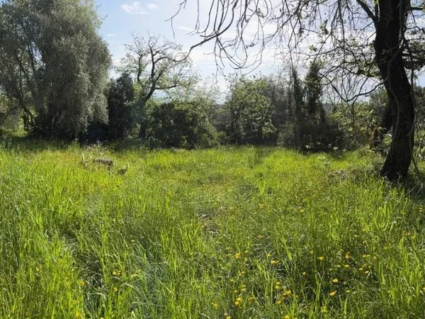 Terrain 550 m²