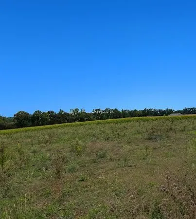 Terrain à bâtir Vente Savigneux   114000€