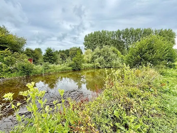 Terrain 5216 m²