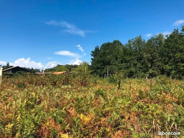 Terrain 488 m² Biscarrosse