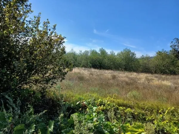 Terrain 425 m²
