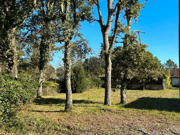 Terrain constructible et viabilisé