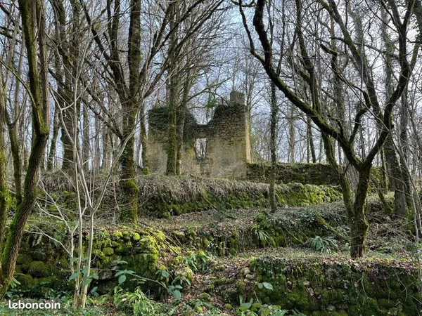 Ensemble forestier avec ruine Brantome en Périgord