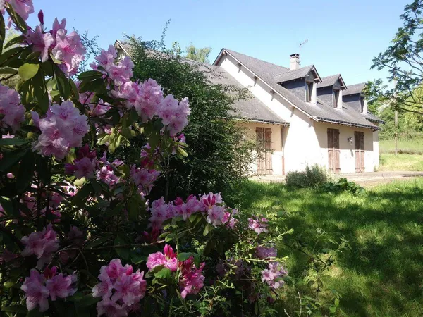 Maison 6 pièces 160 m²