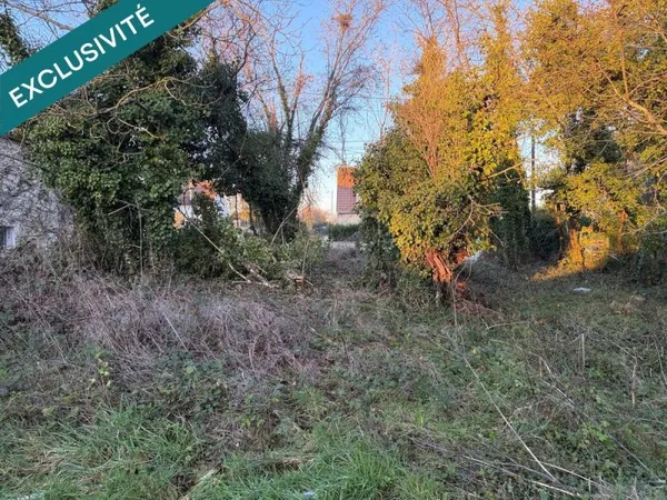 TERRAIN CONSTRUCTIBLE et BOIS TAILLIS