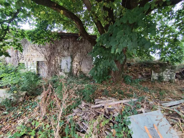 Maison 1 pièce 100 m²