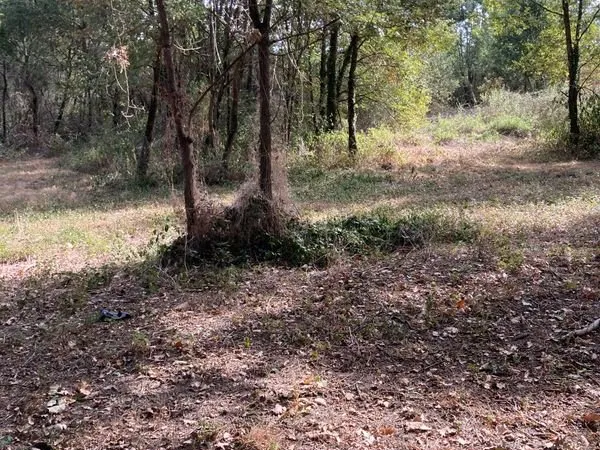 Terrain 7953m2